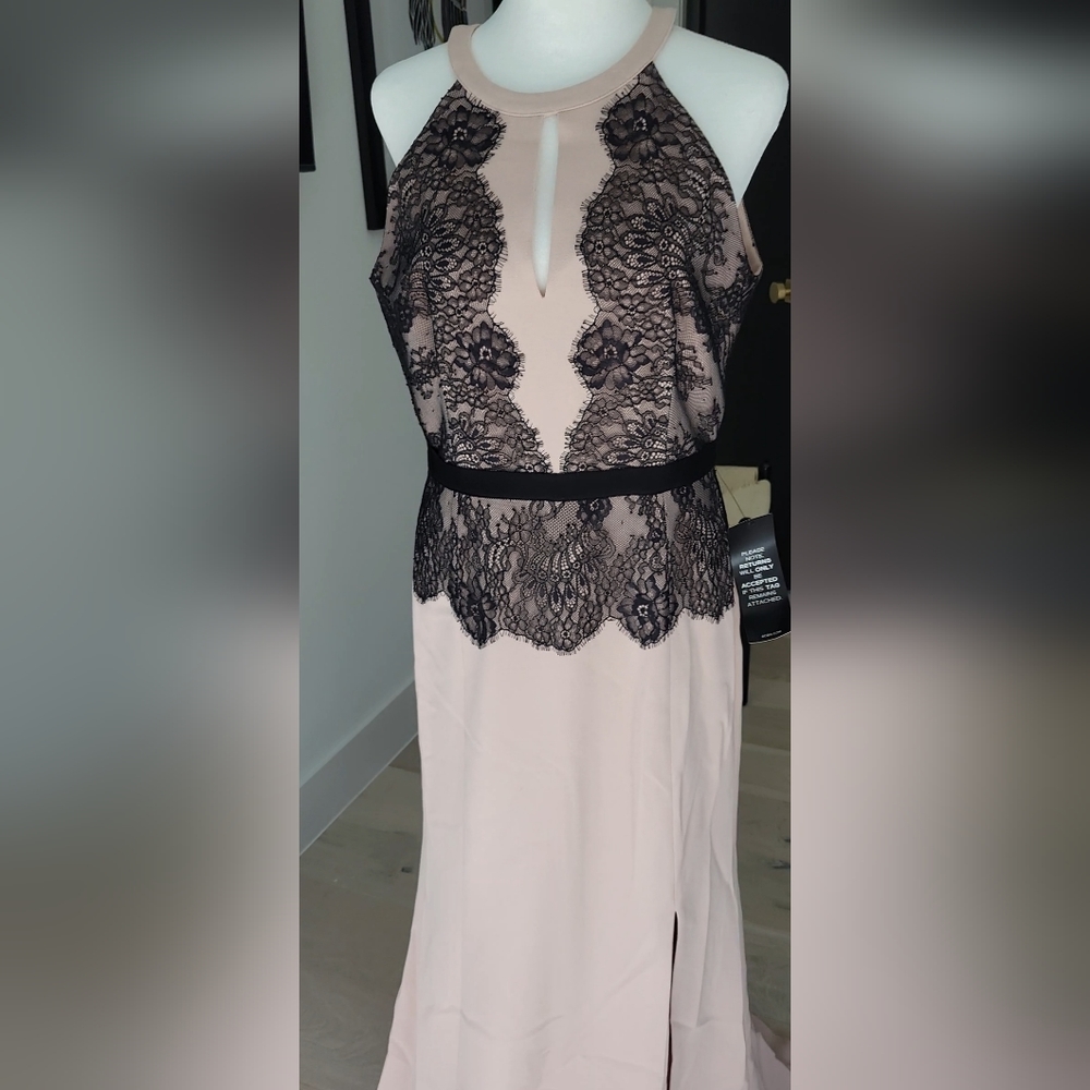 NWT BCBG Maxazria Blush Formal sz 10